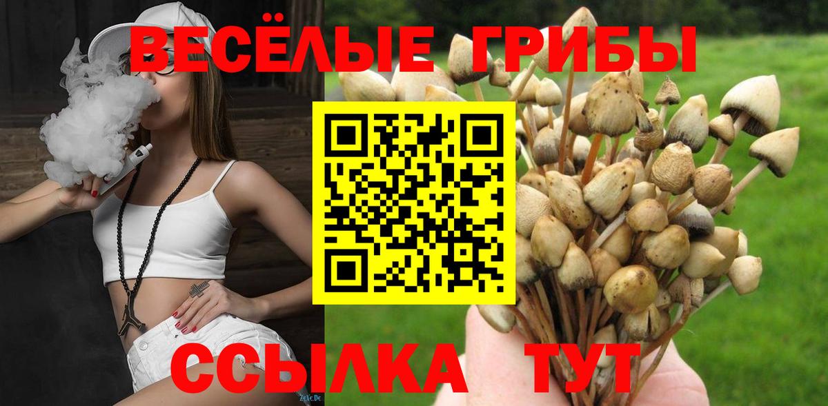 Галлюциногенные грибы Cubensis Касимов