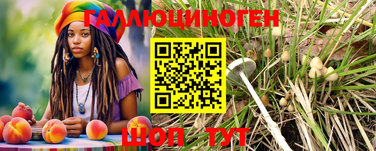 Галлюциногенные грибы мицелий  Псилоцибиновые грибы GOLDEN TEACHER  Касимов  Вход с VPN 